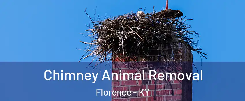 Chimney Animal Removal Florence - KY