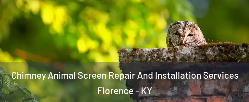  Chimney Animal Screen Repair And Installation Services Florence - KY