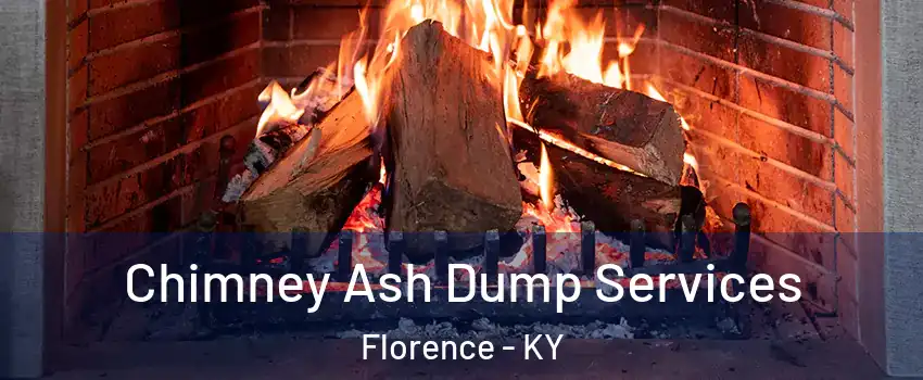  Chimney Ash Dump Services Florence - KY