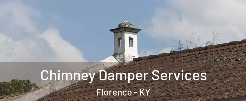  Chimney Damper Services Florence - KY
