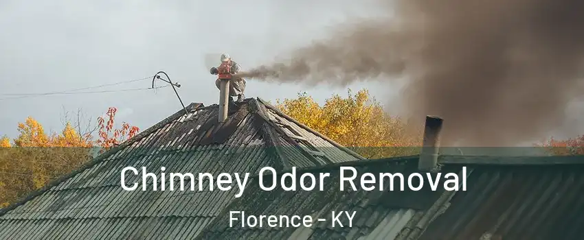 Chimney Odor Removal Florence - KY