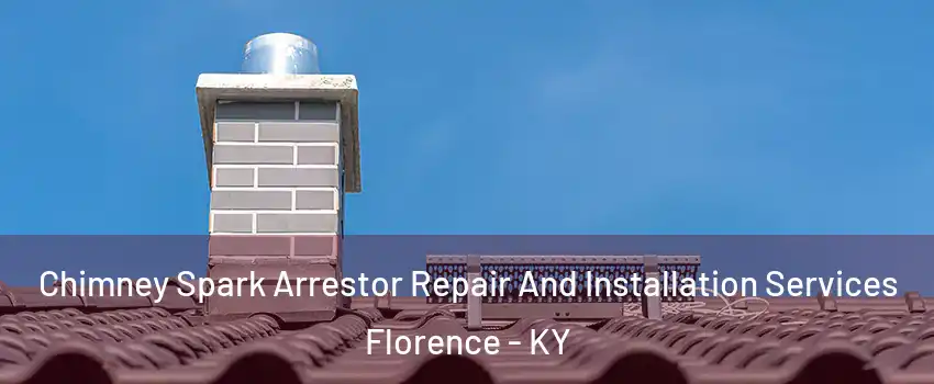  Chimney Spark Arrestor Repair And Installation Services Florence - KY