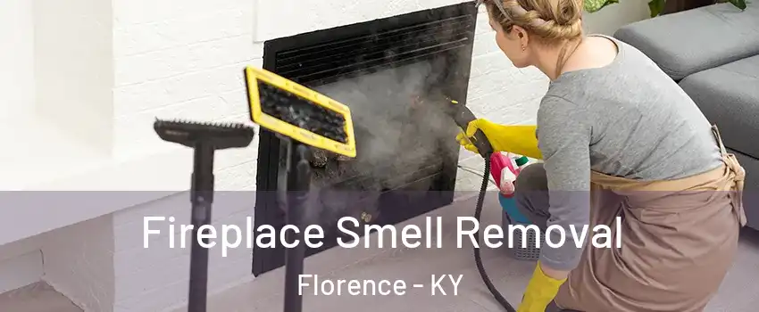  Fireplace Smell Removal Florence - KY