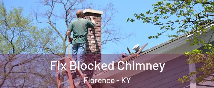  Fix Blocked Chimney Florence - KY