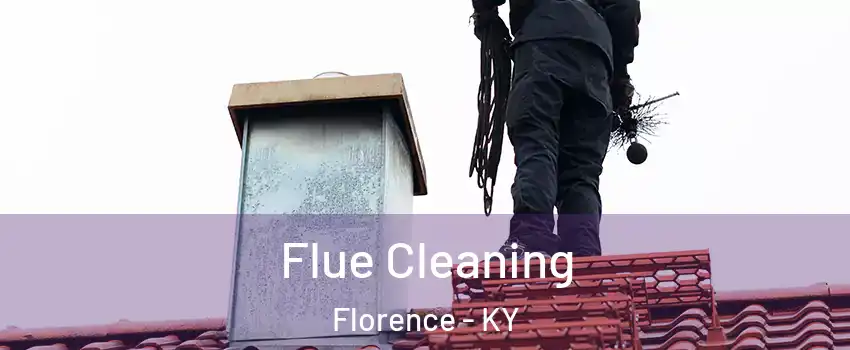  Flue Cleaning Florence - KY