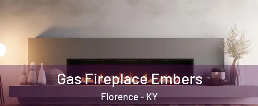  Gas Fireplace Embers Florence - KY