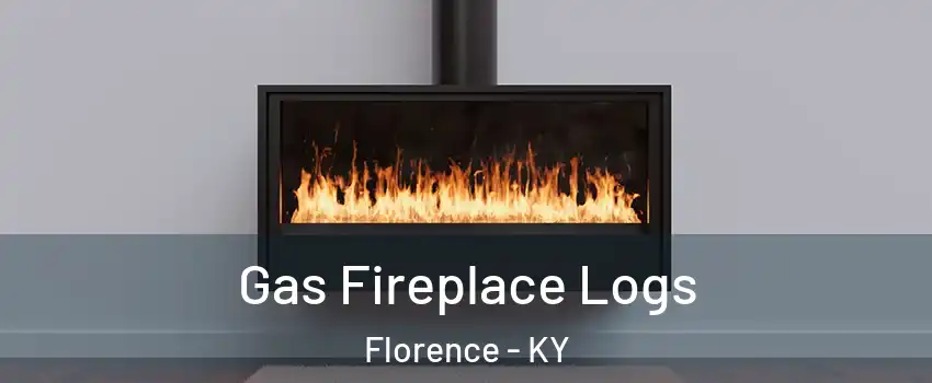  Gas Fireplace Logs Florence - KY
