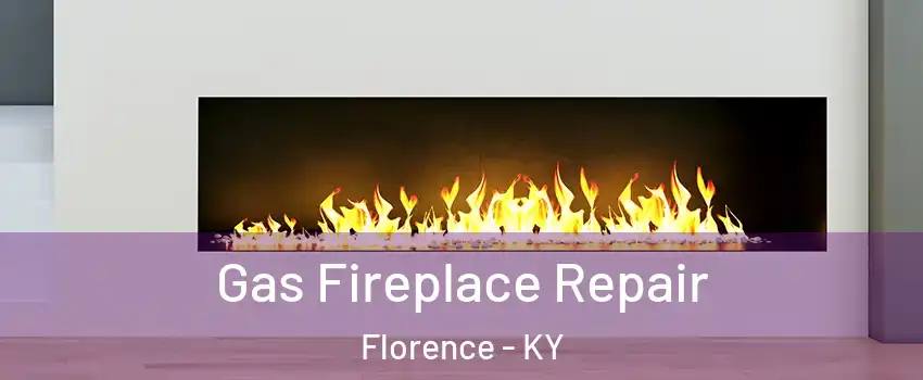  Gas Fireplace Repair Florence - KY