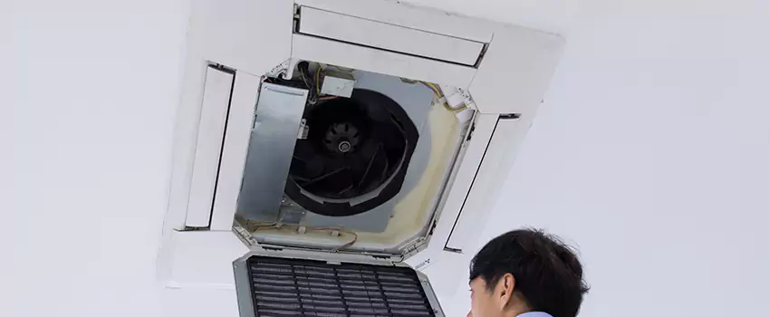 Benefits of Professional Air Duct Cleaning in Florence, Kentucky