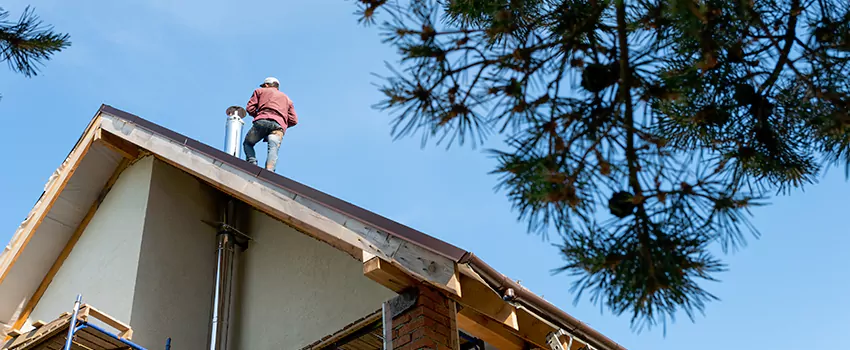 Birds Removal Contractors from Chimney in Florence, KY