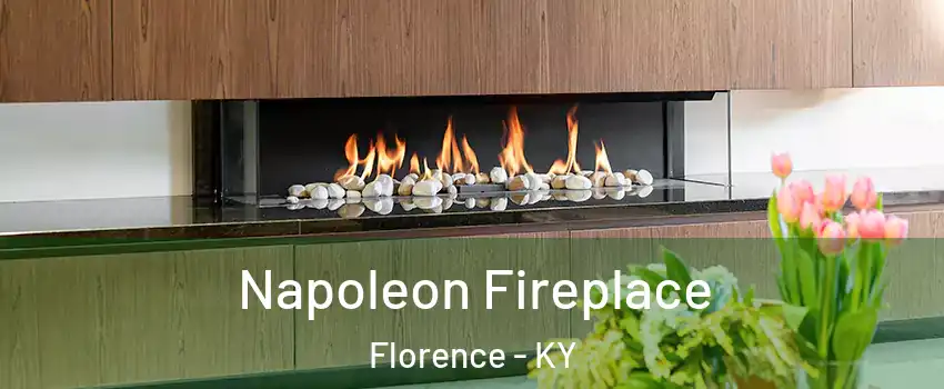  Napoleon Fireplace Florence - KY
