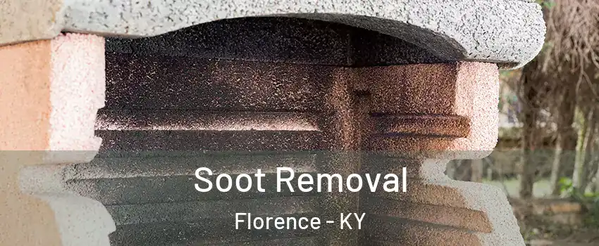 Soot Removal Florence - KY